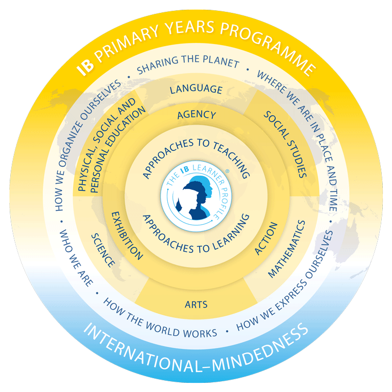 pyp model en web